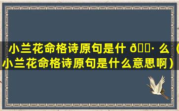 小兰花命格诗原句是什 🕷 么（小兰花命格诗原句是什么意思啊）